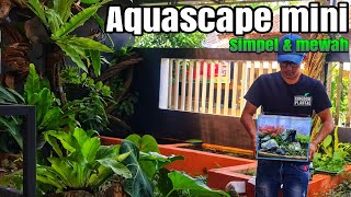 342 Membuat Aquascape simpel amp mewah [upl. by Ocsirf89]