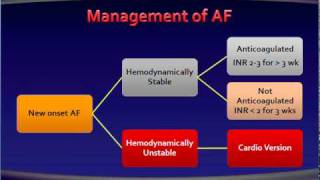 8 atrial fibrillation Management [upl. by Eduard18]