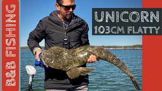 Monster 1m flathead and mulloway on epic Forster trip [upl. by Aicinad]