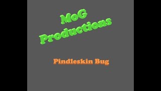 Diablo 2 Resurrected Pindleskin Bug [upl. by Adnelg]