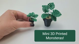 Miniature Monsteras  How to 3D Print on any Printer [upl. by Margi]