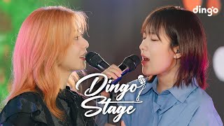 고막 녹이는 가을 음색 여신 치즈 amp 스텔라장의 귀 호강 스테이지ㅣdingo stage X Dolby [upl. by Anirdnajela]