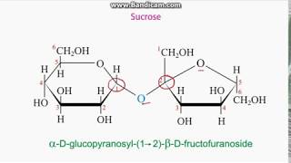 Identifying anomeric carbons in sugars [upl. by Yttisahc]