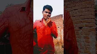 Jiyab nahi tohara Bin shorts viralvideo comedy funny BadoBedardi [upl. by Gyasi391]