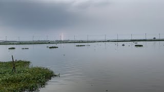 পাঁকা খেলোয়ার না হলে এখানে মাছ ধরতে আসবেন নাMasterPIECEofficials fishing fish viralvideo [upl. by Tellford539]