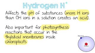 Inorganic Ions  Quick A Level Biology Revision [upl. by Amble]