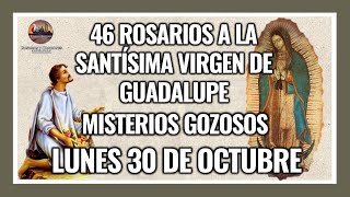 46 ROSARIOS A LA VIRGEN DE GUADALUPE MISTERIOS GOZOSOS  GUADALUPANO  LUNES 30 DE OCTUBRE 2023 [upl. by Ojybbob]