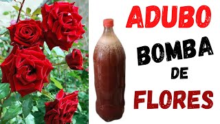 Adubo Caseiro BOMBA DE FLORES PRA ROSEIRAS [upl. by Yt678]