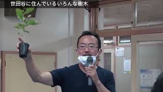 世田谷区立世田谷小学校総合学習授業「樹木がいきいきと育つ、生きた土の不思議」講義編 12 [upl. by Vinia]