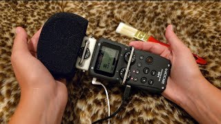 My First ASMR Aggressivly Touching the mic ZOOM H5 Tingles Brush Included [upl. by Ahsoyem]