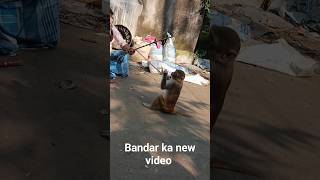 NAAM KA BANDAR KAM KA INSAN 🙈🙈shortsfeed trending bandar funny [upl. by Darrin]