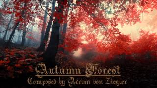 Relaxing Celtic Music  Autumn Forest [upl. by Enileuqkcaj10]