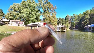 THIS Jig Is An ABSOLUTE Crappie Magnet OVER 50 CRAPPIE EASY [upl. by Hughes31]