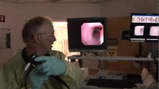 Using a Bronchial Scope for a Bronchoscopy at Christian Hospital in St Louis Missouri [upl. by Ronica]