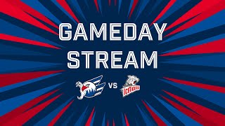 GamedayStream Adler Mannheim VS Nürnberg Ice Tigers [upl. by Eenahpets]