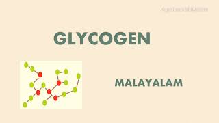 GLYCOGEN  POLYSACCHARIDES  CARBOHYDRATES  MALAYALAM [upl. by Imis]