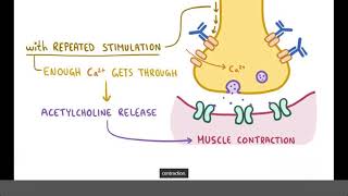 LambertEaton Myasthenic Syndrome  Causes Symptoms Diagnosis amp Treatment Pathology [upl. by Ilesara]