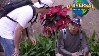 How To Get Drugs In UNIVERSAL STUDIOS Prank [upl. by Hgielyak]