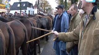 Paardenmarkt in Hedel [upl. by Bolt]