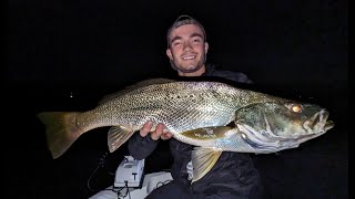 Catching Jewfish on the Hawkesbury River  Insane Action [upl. by Nivek291]