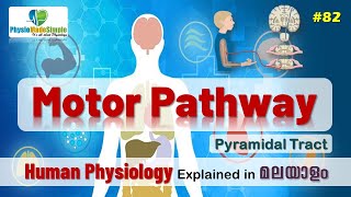 Ep82  Pyramidal Tract  Malayalam [upl. by Nojid942]