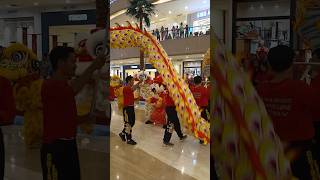 Barongsai Vs Naga barongsai sakurascholl yutadanmio liondance [upl. by Ciro]