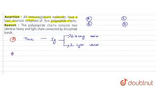 Assertion  All immunoglobulin molecules have a basic structure compsed of four polypeptide [upl. by Bazil431]