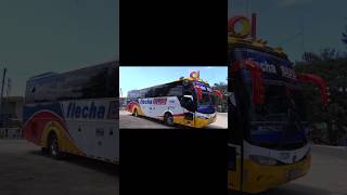 Torcoroma Flecha Bus 7320 en Pitalito [upl. by Iggie]