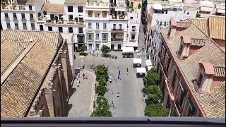 BRASILEIRO NA ESPANHA SEVILHA  Vista de cima da torre Giralda da catedral [upl. by Icyaj45]