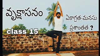 వృక్షాసనం  How to do Vrikshasana  In Telugu by Yuga all is well [upl. by Richela]