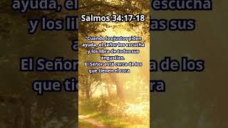 Salmos 341718 [upl. by Alaikim]