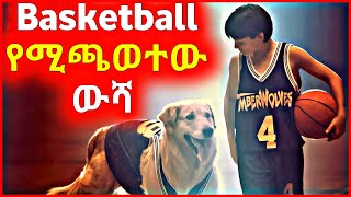 🔴 Basketball የሚጫወተው ውሻ [upl. by Iba]