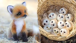 Cute Baby Animals Videos Compilation  Funny and Cute Moment of the Animals 18  Cutest Animals [upl. by Oicnevuj]