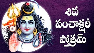 SHIVA PANCHAKSHARI STOTHAM TELUGU LYRICS AND MEANINGS [upl. by Ingunna377]