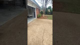 laying pinestraw raking leaf blowing planting flowers trim bushes yardwork maintenance [upl. by Lipsey649]