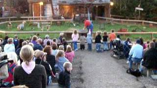 Piggy Races at Valas Pumpkin Patch [upl. by Og]