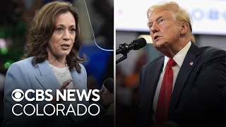 How will Kamala Harriss campaign impact Colorados statewide elections [upl. by Roma468]