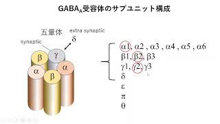 GABA受容体（イオンチャネル型） [upl. by Sabelle804]