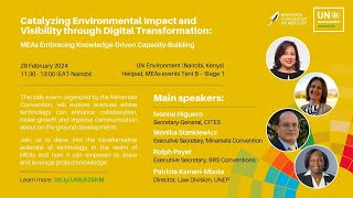 UNEA6 side event Catalyzing Environmental Impact and Visibility through Digital Transformation [upl. by Billie58]