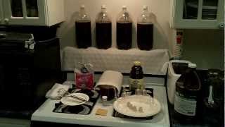 Making plum wine an easy way [upl. by Jehiel]