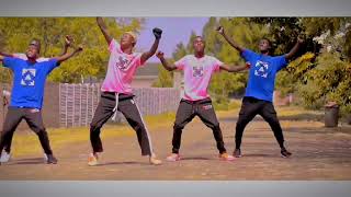 Jah Prayzah  Ndibatei Dhokota  Official Dance Vide [upl. by Gabriellia]