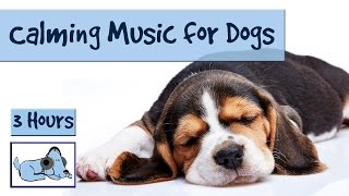 3 and a Half Hours of Calming Music for Dogs [upl. by Aillicec624]