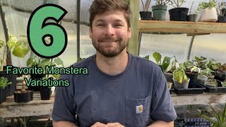 Top 6 Monstera Deliciosa Variations Ranked [upl. by Ennairak]