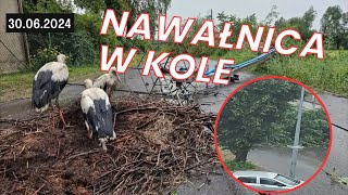 💨NAWAŁNICA W KOLE WIELKOPOLSKIE  30062024 [upl. by Berke]