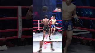 Very crispy buakaw kick is dug shortsvideo kickboxing boxing mma ufc muaythai shorts [upl. by Llednyl479]