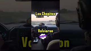 Los chapitos llegan a Sinaloa narcosmexico narcos loschapitos sinaloa culiacan durango lpm [upl. by Atul]