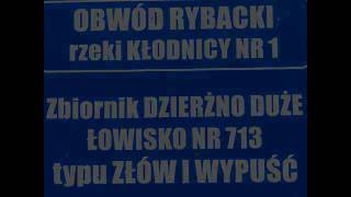 Rzeka Kłodnica i Dzierżno Duże łowisko ZŁÓW I WYPUŚĆ [upl. by Halian]