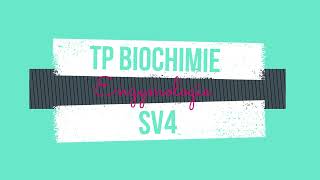 TP11 Biochimie  Détermination de la vitesse initiale dune réaction enzymatique [upl. by Jaehne81]