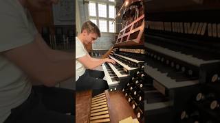 Toccata in d minor by J S Bach 😍 organ music church [upl. by Bunde987]