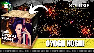 Oyogu Hoshi vuurwerk  XQlusif  36 schots cakebox met vurige vissen [upl. by Letney]